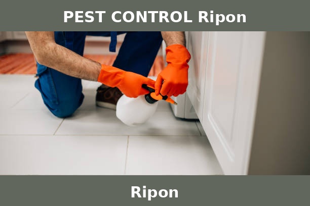 PEST CONTROL Ripon